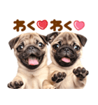 パグちゃん♡大好き（個別スタンプ：17）