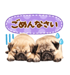 パグちゃん♡大好き（個別スタンプ：23）