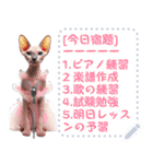 猫の音楽演奏団 ☆ メッセージボード（個別スタンプ：1）