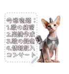 猫の音楽演奏団 ☆ メッセージボード（個別スタンプ：3）