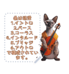 猫の音楽演奏団 ☆ メッセージボード（個別スタンプ：9）