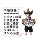 猫の音楽演奏団 ☆ メッセージボード（個別スタンプ：11）