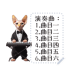 猫の音楽演奏団 ☆ メッセージボード（個別スタンプ：14）