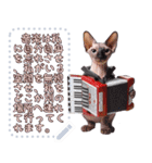 猫の音楽演奏団 ☆ メッセージボード（個別スタンプ：15）