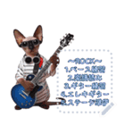 猫の音楽演奏団 ☆ メッセージボード（個別スタンプ：16）