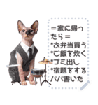 猫の音楽演奏団 ☆ メッセージボード（個別スタンプ：22）