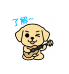 まるまるのわんちゃん3（個別スタンプ：7）