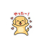 まるまるのわんちゃん3（個別スタンプ：12）