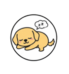 まるまるのわんちゃん3（個別スタンプ：13）