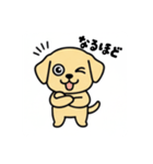 まるまるのわんちゃん3（個別スタンプ：19）
