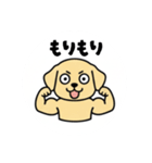 まるまるのわんちゃん3（個別スタンプ：20）
