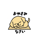 まるまるのわんちゃん3（個別スタンプ：21）
