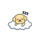 まるまるのわんちゃん3（個別スタンプ：22）
