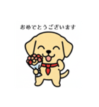 まるまるのわんちゃん3（個別スタンプ：23）