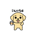 まるまるのわんちゃん3（個別スタンプ：24）