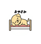 まるまるのわんちゃん3（個別スタンプ：28）