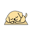 まるまるのわんちゃん3（個別スタンプ：36）