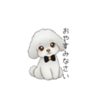 ふわふわトイプードル（仕事で使える敬語）（個別スタンプ：2）