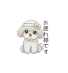 ふわふわトイプードル（仕事で使える敬語）（個別スタンプ：3）