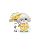 ふわふわトイプードル（仕事で使える敬語）（個別スタンプ：4）