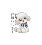 ふわふわトイプードル（仕事で使える敬語）（個別スタンプ：6）