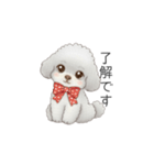 ふわふわトイプードル（仕事で使える敬語）（個別スタンプ：7）