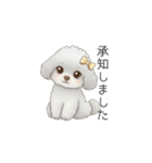 ふわふわトイプードル（仕事で使える敬語）（個別スタンプ：8）