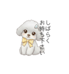 ふわふわトイプードル（仕事で使える敬語）（個別スタンプ：9）