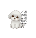 ふわふわトイプードル（仕事で使える敬語）（個別スタンプ：10）