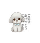 ふわふわトイプードル（仕事で使える敬語）（個別スタンプ：11）
