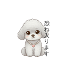 ふわふわトイプードル（仕事で使える敬語）（個別スタンプ：12）