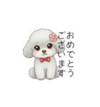 ふわふわトイプードル（仕事で使える敬語）（個別スタンプ：13）