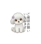 ふわふわトイプードル（仕事で使える敬語）（個別スタンプ：15）