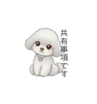 ふわふわトイプードル（仕事で使える敬語）（個別スタンプ：16）
