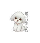 ふわふわトイプードル（仕事で使える敬語）（個別スタンプ：17）