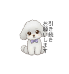 ふわふわトイプードル（仕事で使える敬語）（個別スタンプ：27）
