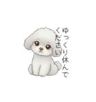 ふわふわトイプードル（仕事で使える敬語）（個別スタンプ：29）