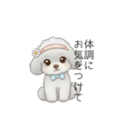ふわふわトイプードル（仕事で使える敬語）（個別スタンプ：30）