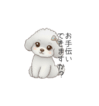 ふわふわトイプードル（仕事で使える敬語）（個別スタンプ：31）