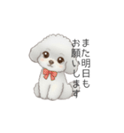 ふわふわトイプードル（仕事で使える敬語）（個別スタンプ：34）