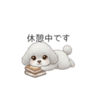 ふわふわトイプードル（仕事で使える敬語）（個別スタンプ：36）