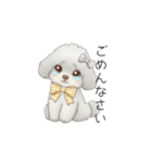 ふわふわトイプードル（仕事で使える敬語）（個別スタンプ：37）