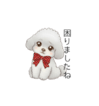 ふわふわトイプードル（仕事で使える敬語）（個別スタンプ：38）