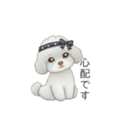 ふわふわトイプードル（仕事で使える敬語）（個別スタンプ：40）