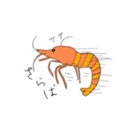 ゆかいな海の生き物スタンプ（個別スタンプ：31）