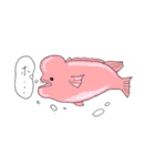 ゆかいな海の生き物スタンプ（個別スタンプ：39）