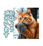 飛び出す★冬を感じる茶トラ猫_挨拶（個別スタンプ：2）