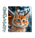 飛び出す★冬を感じる茶トラ猫_挨拶（個別スタンプ：3）