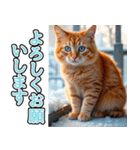 飛び出す★冬を感じる茶トラ猫_挨拶（個別スタンプ：5）