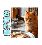 飛び出す★冬を感じる茶トラ猫_挨拶（個別スタンプ：6）